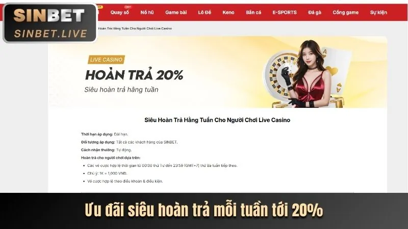 Casino trực tuyến Jilibet
